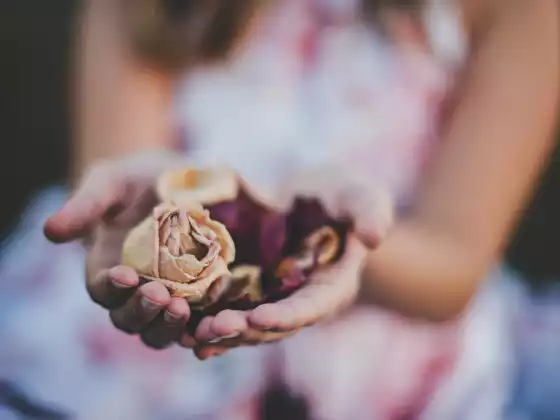 33 Dakikada Uzaktan Reiki Şifası