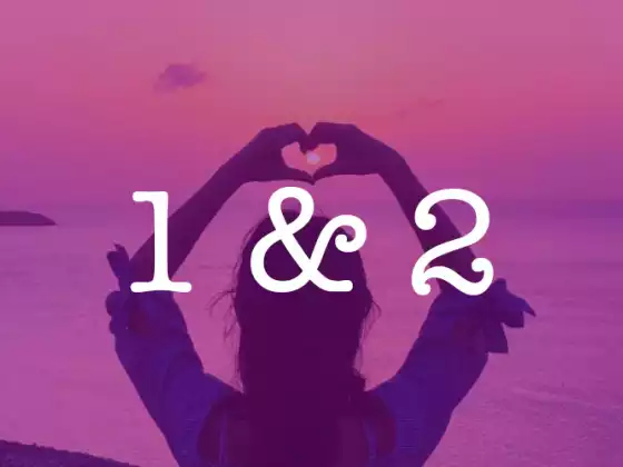 Level 1 and Level 2 courses with Chinese/Mandarin translation