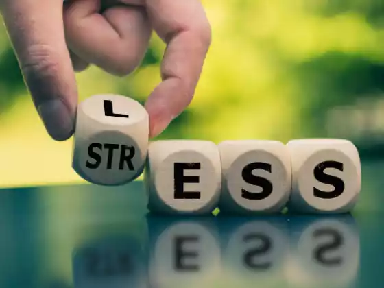 Stresi Azaltın ve Başarılı Olun