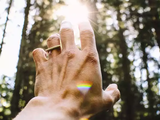 Reiki Nível 1
