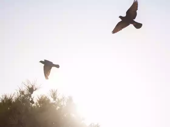 Pagbuo ng Relasyon sa Mga Mahal sa Buhay sa Spirit Series-Autumn 2024-Part 2