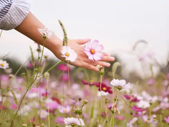 Reiki-Meisterschaftswochenende