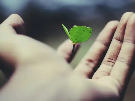 职业校准以实现与灵魂一致的成功问答网络研讨会 4