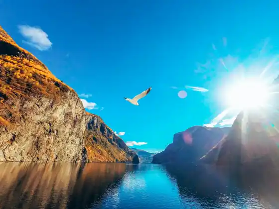 Cord Cutting with Archangel Michael 