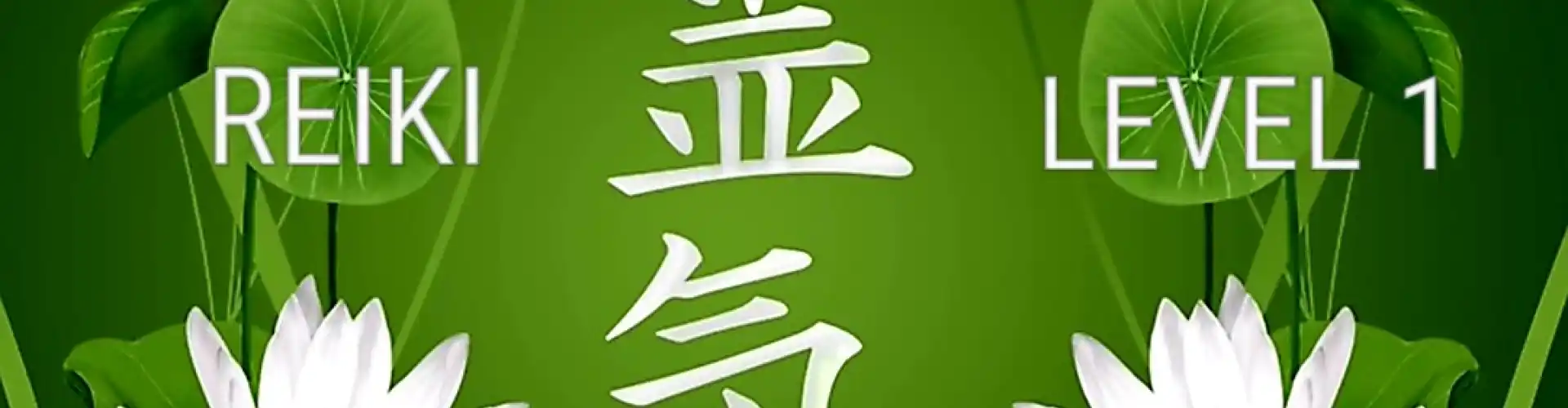 Reiki Level 1 - Online Class by Cassaundra Paolini