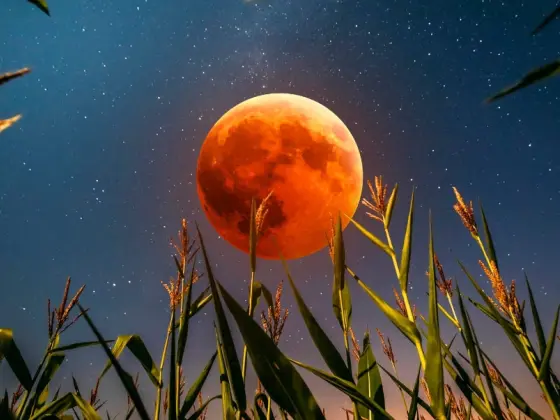 Méditation sur l'éclipse solaire de pleine lune